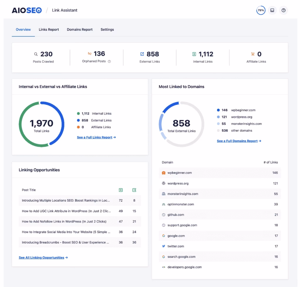 Via AIOSEO AIOSEO internal and external linking metrics